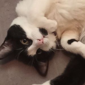 Meet your Posher, Azariah